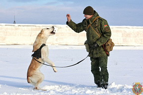 Служба одна на двоих