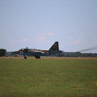 Небо — их стихия