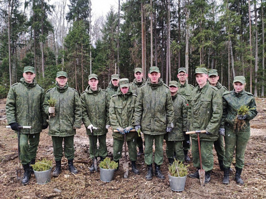 Чистую и зеленую страну создадим вместе