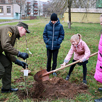 «Сад надежды»