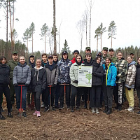 Лес – богатство нашей страны